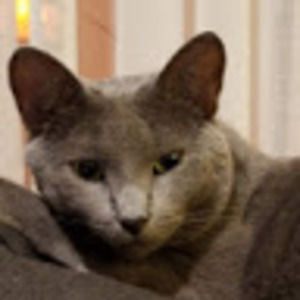 Meet your Posher, Kaitlyn